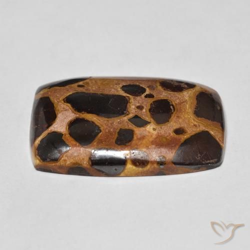 Jaspe Multicolorido Natural 18.44ct, Almofada, Opaco