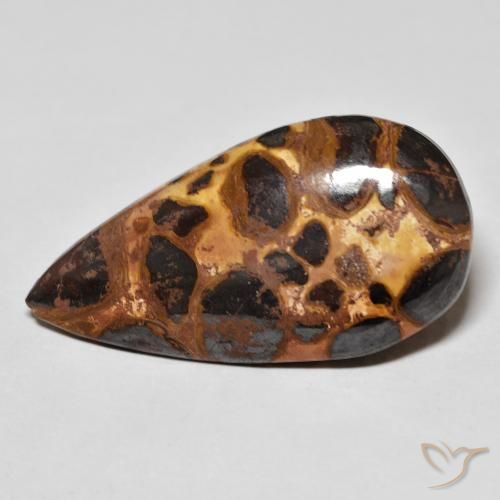 16.69ct Natural Multicolorido Jaspe, Formato de pêra, Opaco