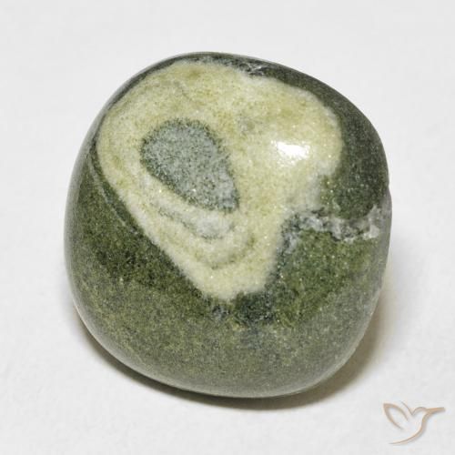 Jaspe Multicolorido Natural 25.13ct, Almofada, Opaco