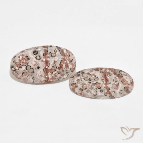 Pedras preciosas de Jaspe Multicolorido natural de 26.75 ct, oval, Opaco