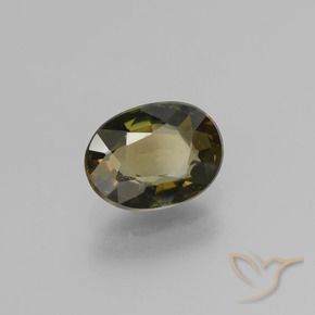 Rupina de grãos Castanho médio Natural 1.54ct, oval, VS