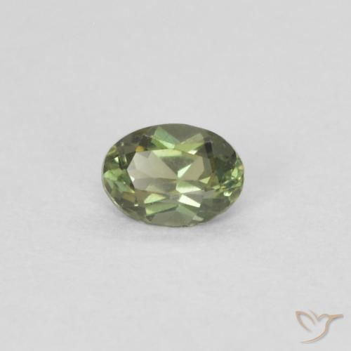 Rupina de grãos Verde Floresta Quente Natural 0.13ct, oval, VVS-VS