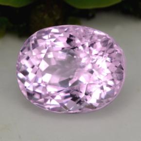 Kunzita rosa natural 5,49ct, corte oval, VS-SI