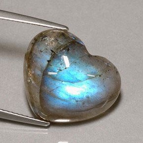 Labradorita multicolorido natural 9,60ct, transparente, transparente/translúcido