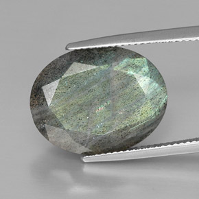 Labradorita multicolorido natural 13,32ct, corte oval, opaco