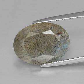 Labradorita multicolorido natural 10,56ct, corte oval, opaco