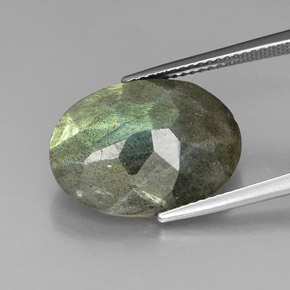 Labradorita multicolorido natural 10,59ct, corte oval, opaco
