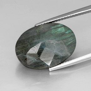 Labradorita multicolorido natural 12,25ct, corte oval, opaco