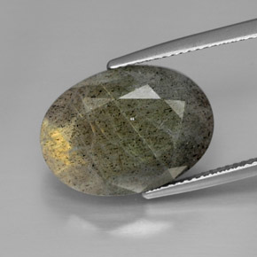 Labradorita multicolorido natural 13,58ct, corte oval, opaco