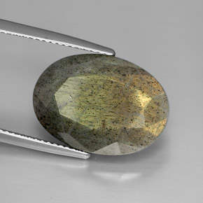 Labradorita multicolorido natural 13,58ct, corte oval, opaco