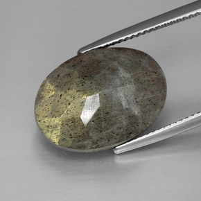 Labradorita multicolorido natural 13,58ct, corte oval, opaco