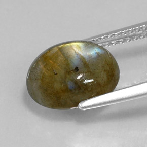 Labradorita multicolorido natural 3,60ct, corte oval, opaco