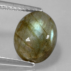 Labradorita multicolorido natural 2,81ct, corte oval, opaco