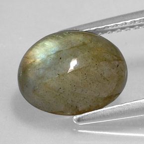 Labradorita multicolorido natural 3,59ct, corte oval, opaco