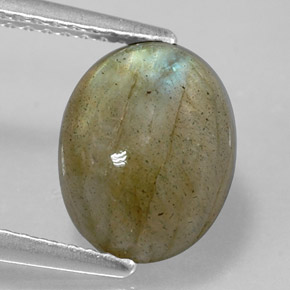 Labradorita multicolorido natural 3,59ct, corte oval, opaco