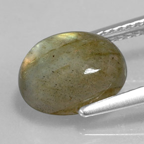 Labradorita multicolorido natural 3,59ct, corte oval, opaco