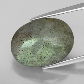 Labradorita multicolorido natural 10,81ct, corte oval, translúcido