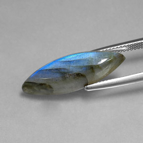 Labradorita multicolorido natural 8,91ct, marquise, translúcido