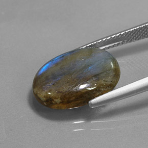 Labradorita multicolorido natural 6,83ct, corte oval, translúcido