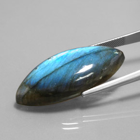 Labradorita multicolorido natural 28,88ct, marquise, translúcido