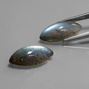 Pedras preciosas de Labradorita Multicolorido natural de  ct, Transparente, Transparente/Translúcido