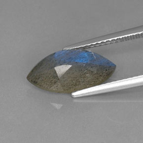 Labradorita azul natural 2,70ct, marquise, translúcido