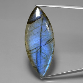 Labradorita azul natural 36,89ct, marquise, transparente