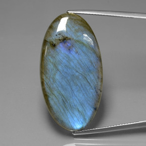 Labradorita azul natural 33,63ct, corte oval, transparente
