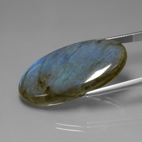 Labradorita azul natural 33,63ct, corte oval, transparente