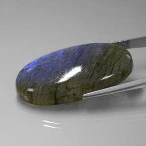 Labradorita azul natural 58,44ct, corte oval, transparente