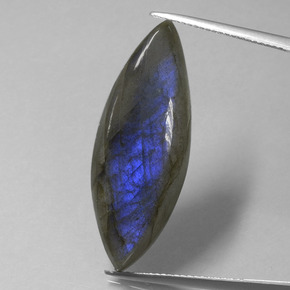Labradorita azul natural 18,92ct, marquise, transparente