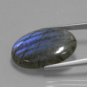 Labradorita Cinza Azul Brilho Natural 15.48ct, Corte Oval, Transparente