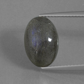Labradorita Cinza Azul Brilho Natural 5.82ct, Corte Oval, Translúcido