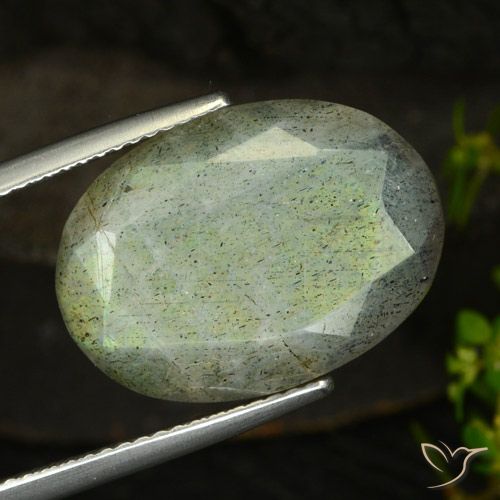 14.58ct Natural Multicolorido Labradorita, oval, Translúcido