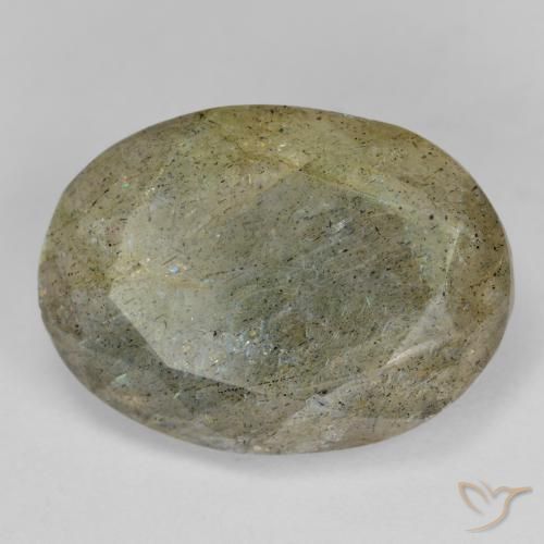 Labradorita Multicolorido Natural 11.84ct, oval, Translúcido