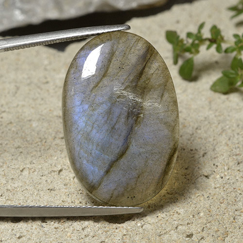 Labradorita multicolorido natural 19,67ct, corte oval, translúcido