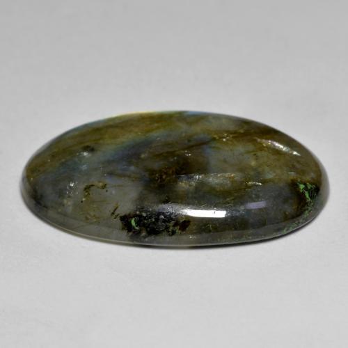 Labradorita multicolorido natural 15,47ct, corte oval, translúcido