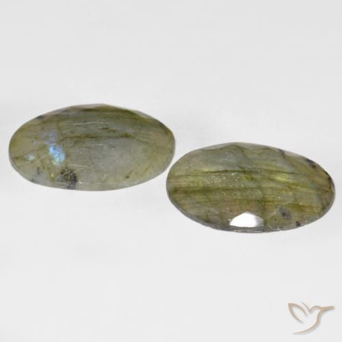 Pedras preciosas de Labradorita Multicolorido natural de 25.35 ct, oval, Translúcido