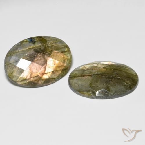 Pedras preciosas de Labradorita Multicolorido natural de 31.65 ct, oval, Translúcido