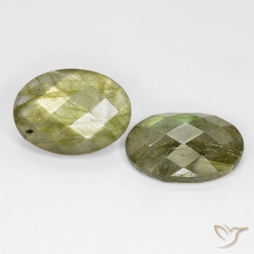 Pedras preciosas de Labradorita Multicolorido natural de 16.55 ct, oval, Translúcido