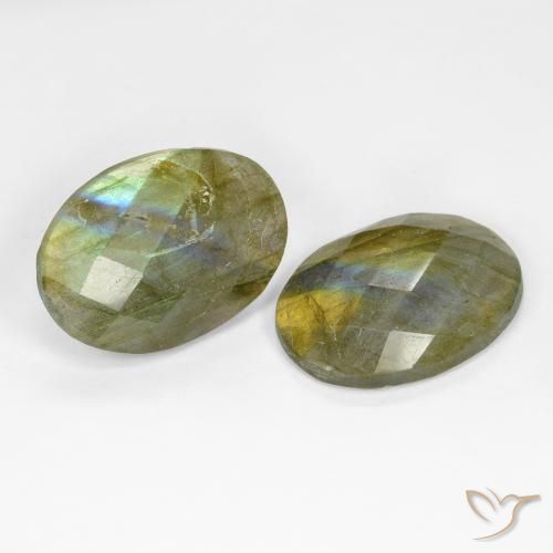 Pedras preciosas de Labradorita Multicolorido natural de 15.65 ct, oval, Translúcido