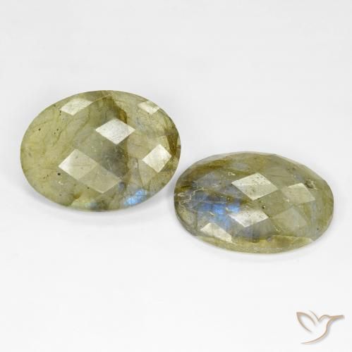 Pedras preciosas de Labradorita Multicolorido natural de 20.44 ct, oval, Translúcido