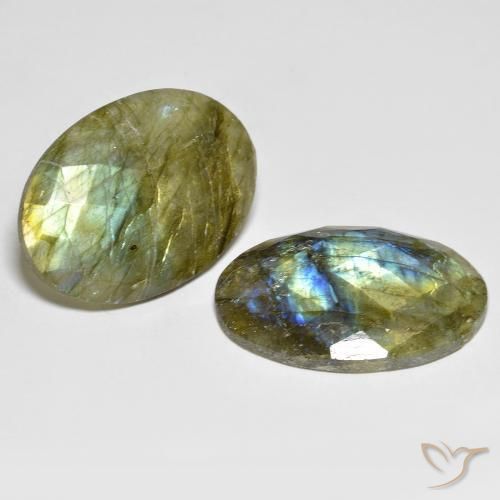 Pedras preciosas de Labradorita Multicolorido natural de 32.34 ct, oval, Translúcido
