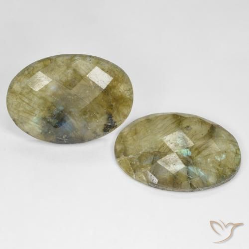 Pedras preciosas de Labradorita Multicolorido natural de 22.96 ct, oval, Translúcido