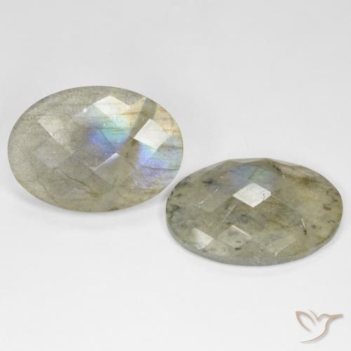 Pedras preciosas de Labradorita Multicolorido natural de 23.01 ct, oval, Translúcido