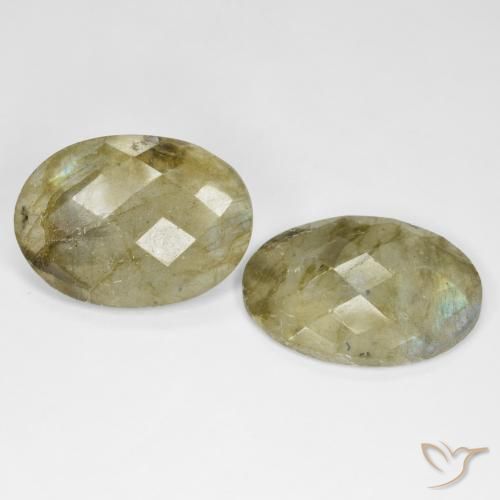Pedras preciosas de Labradorita Multicolorido natural de 23.45 ct, oval, Translúcido