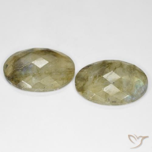 Pedras preciosas de Labradorita Multicolorido natural de 23.45 ct, oval, Translúcido