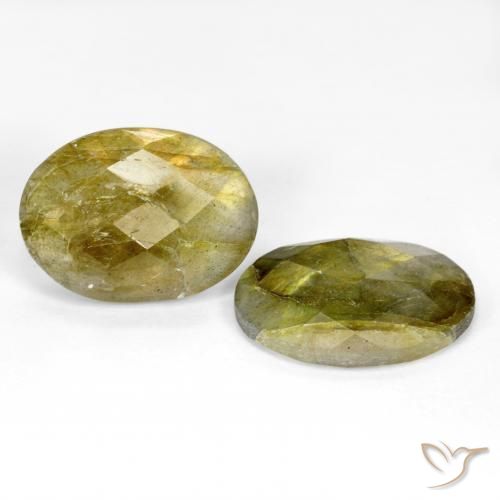 Pedras preciosas de Labradorita Multicolorido natural de 15.66 ct, oval, Translúcido