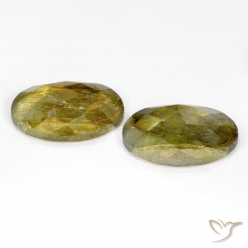 Pedras preciosas de Labradorita Multicolorido natural de 15.66 ct, oval, Translúcido