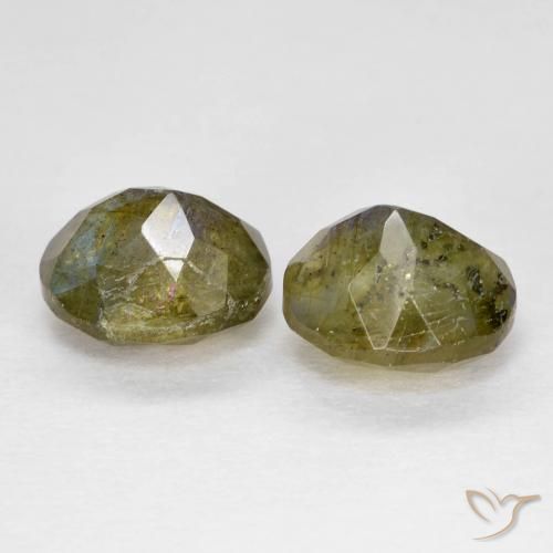 Pedras preciosas de Labradorita Multicolorido natural de 2.50 ct, oval, Translúcido